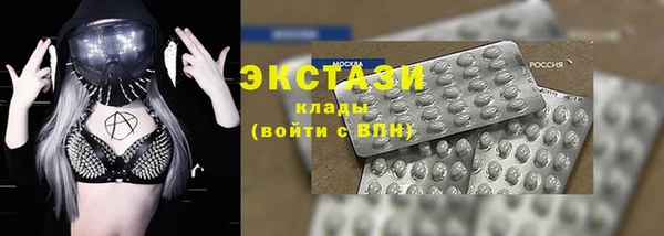 индика Кулебаки