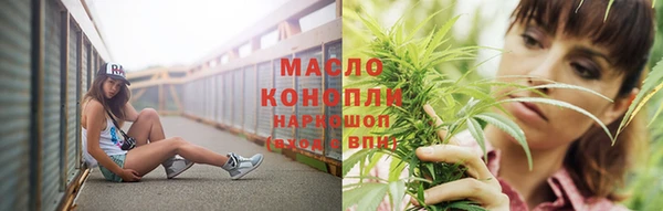 индика Кулебаки