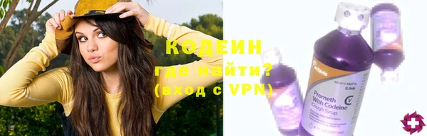 индика Кулебаки