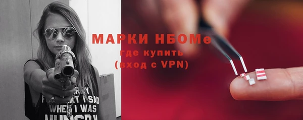 индика Кулебаки