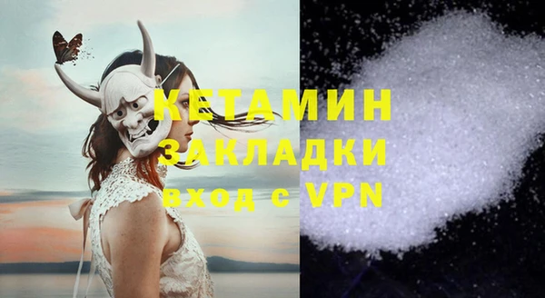 индика Кулебаки