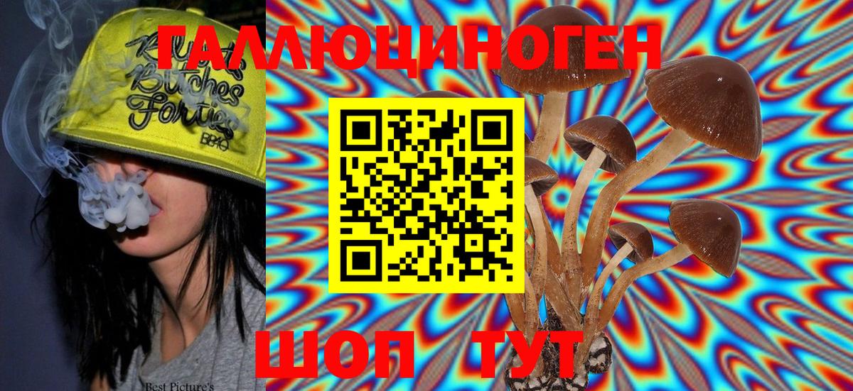 Курчатов  Галлюциногенные грибы MAGIC MUSHROOMS  магазин продажи   Вход с VPN 
