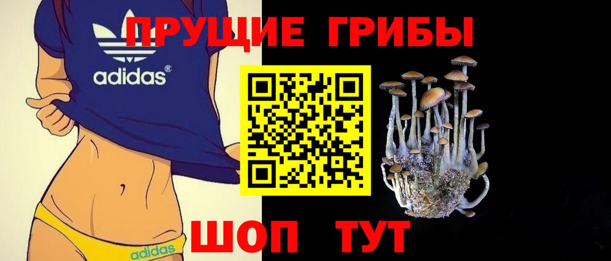 Псилоцибиновые грибы Magic Shrooms Курчатов
